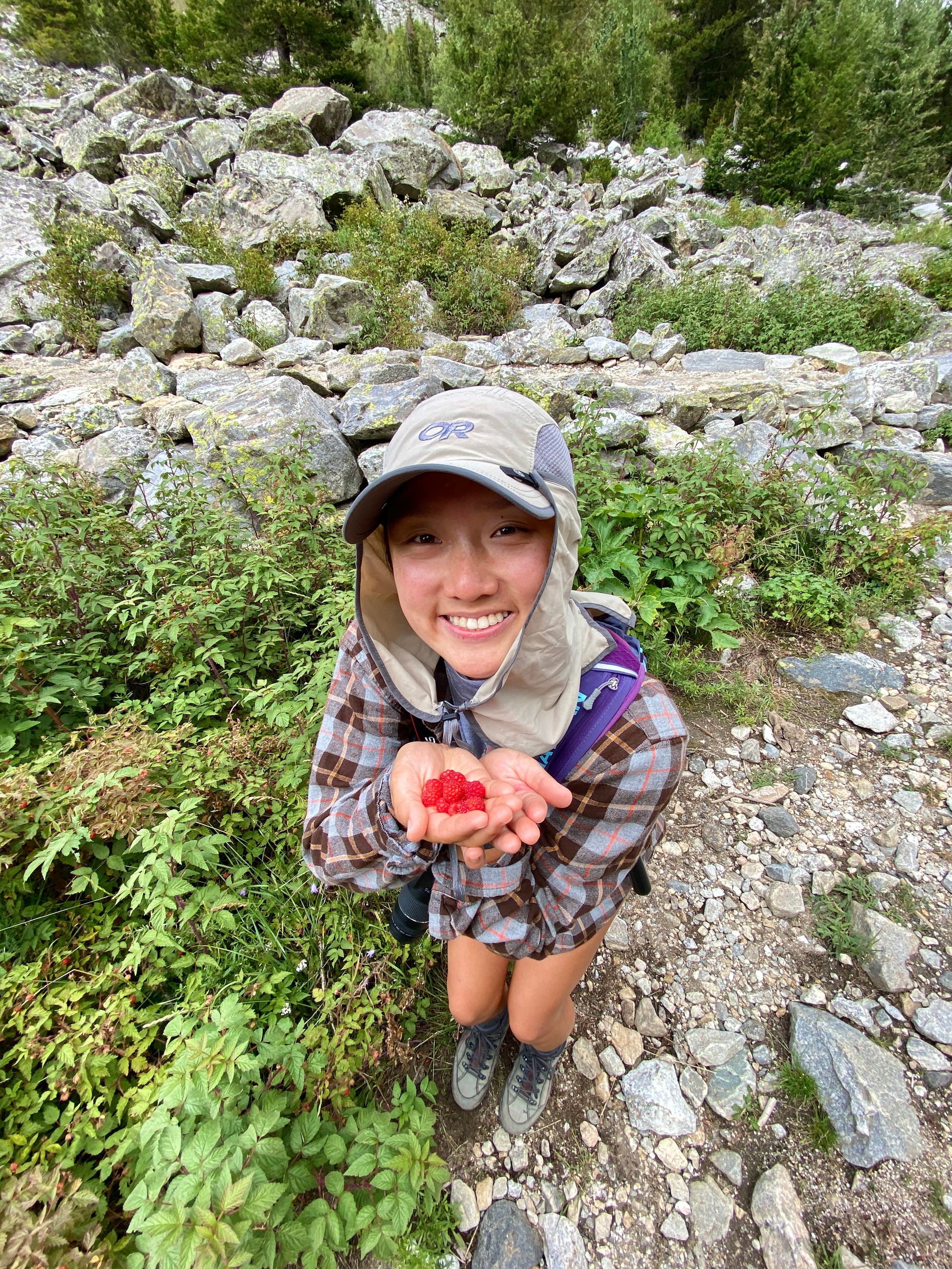 Foraging raspberries!