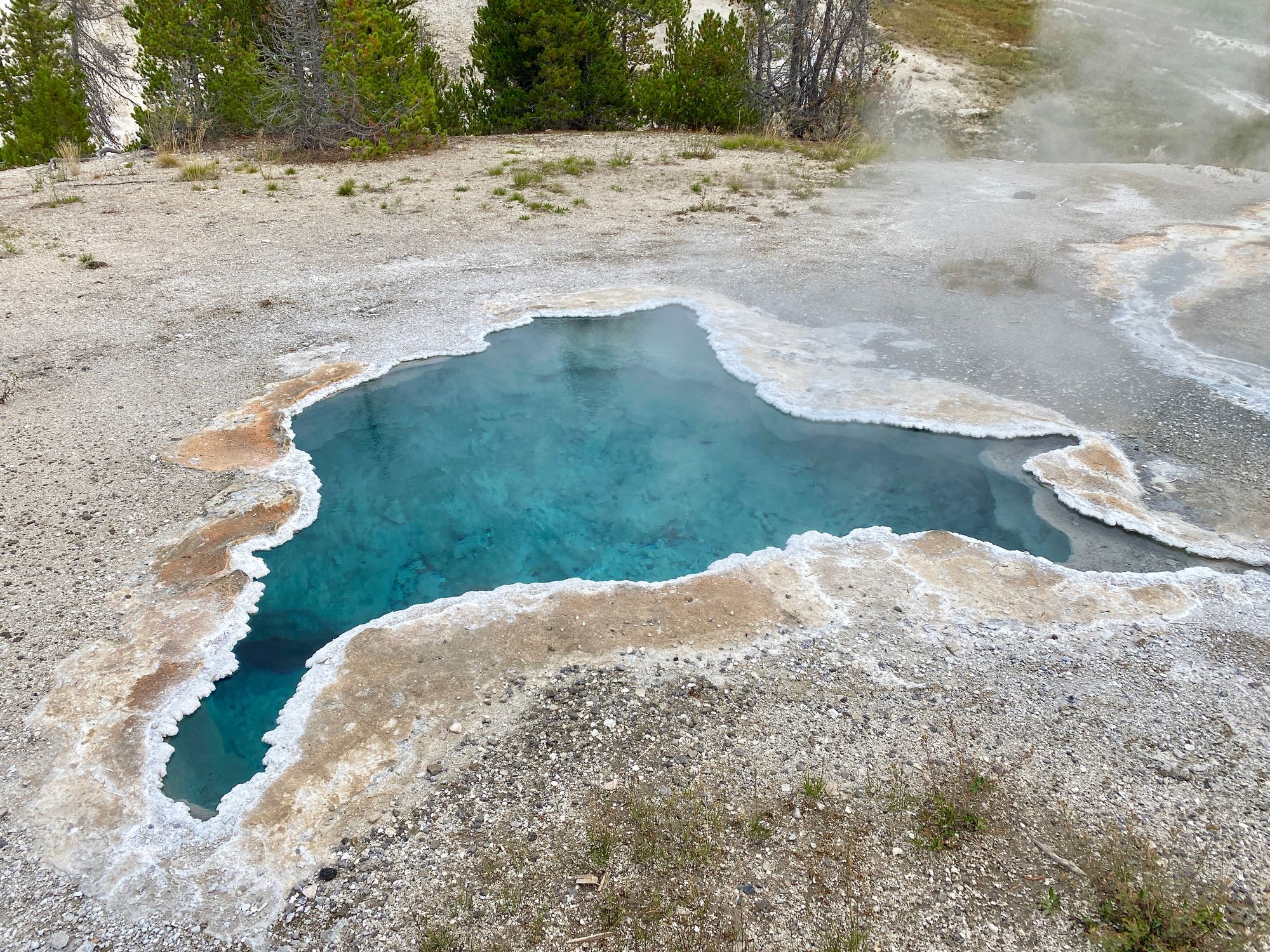 Yellowstone and Glacier National Park