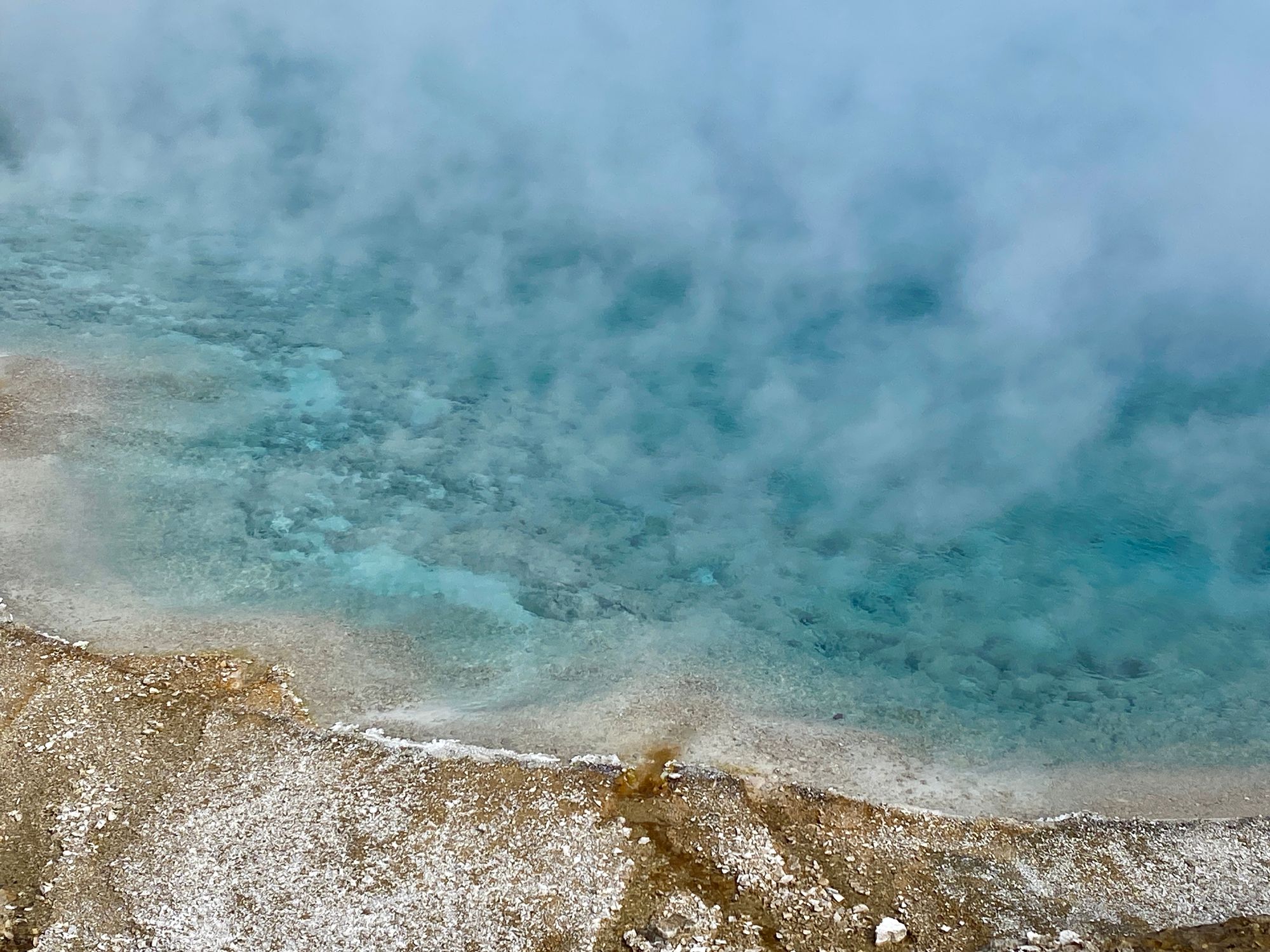 Yellowstone and Glacier National Park