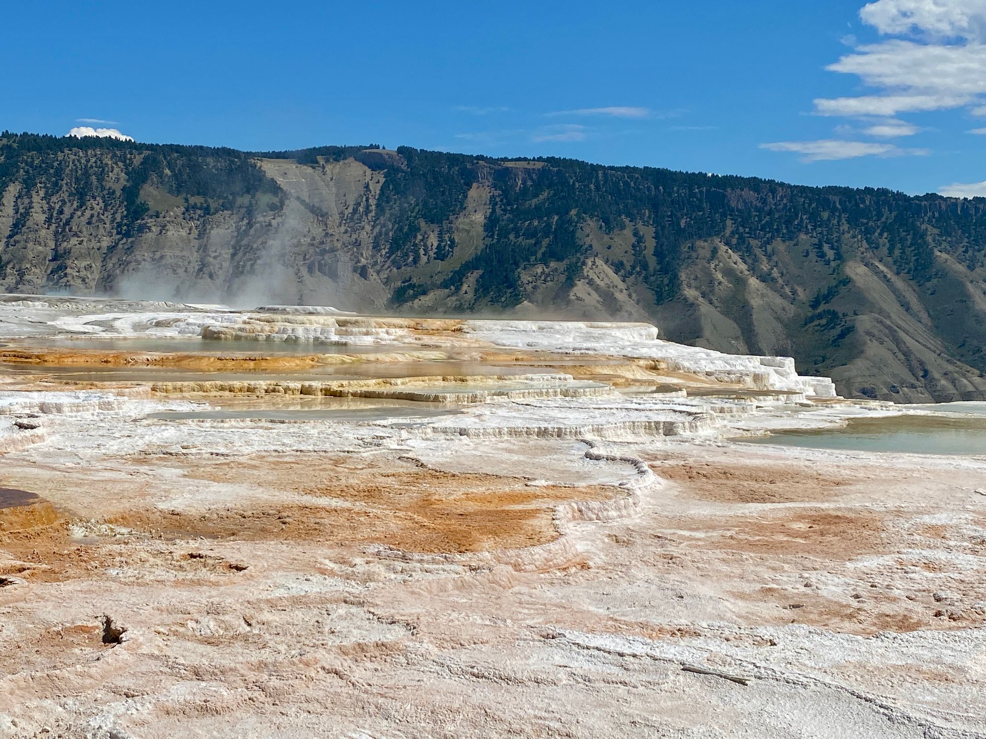 Yellowstone and Glacier National Park