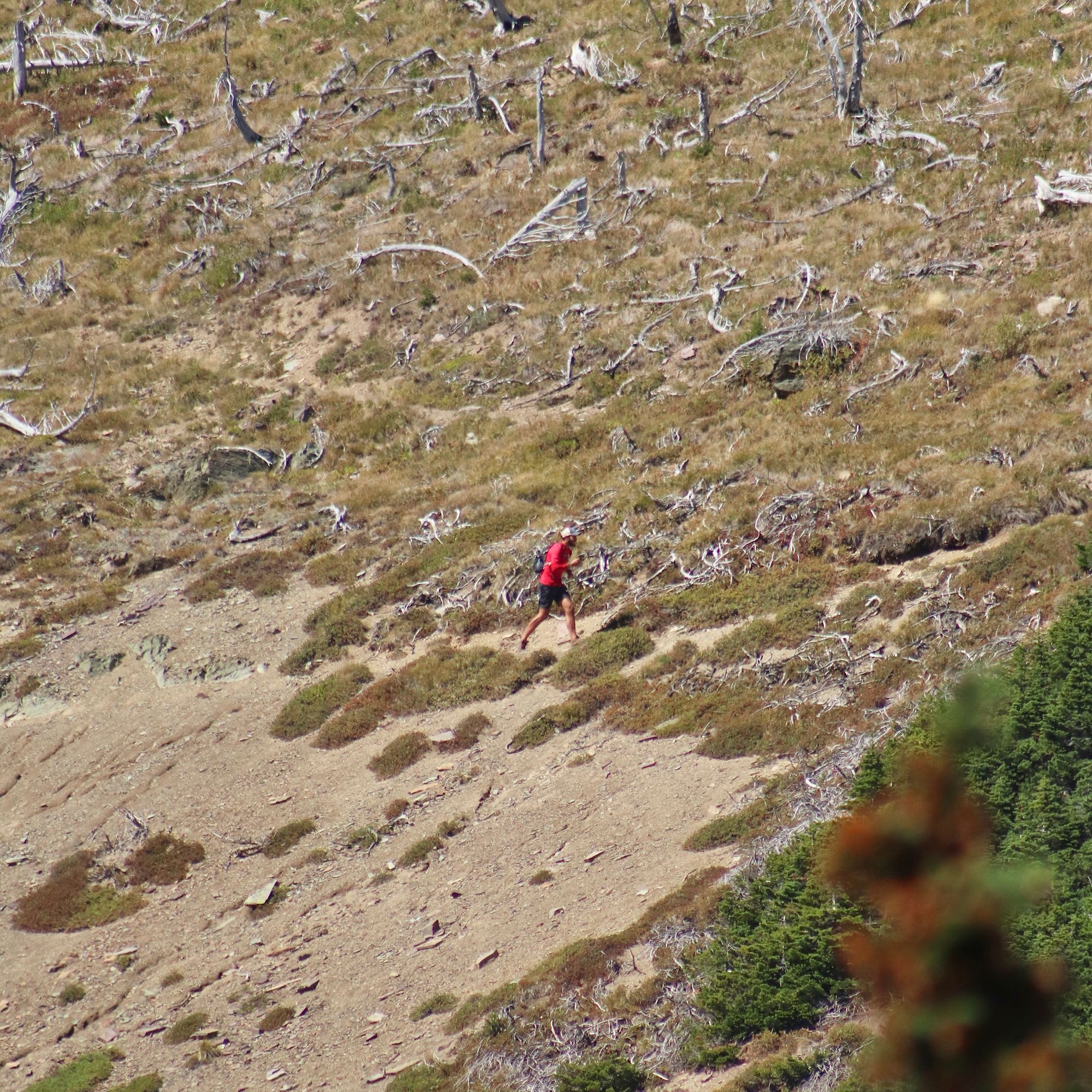 My boyfriend running up to fire watch tower on Swiftcurrent Mountain