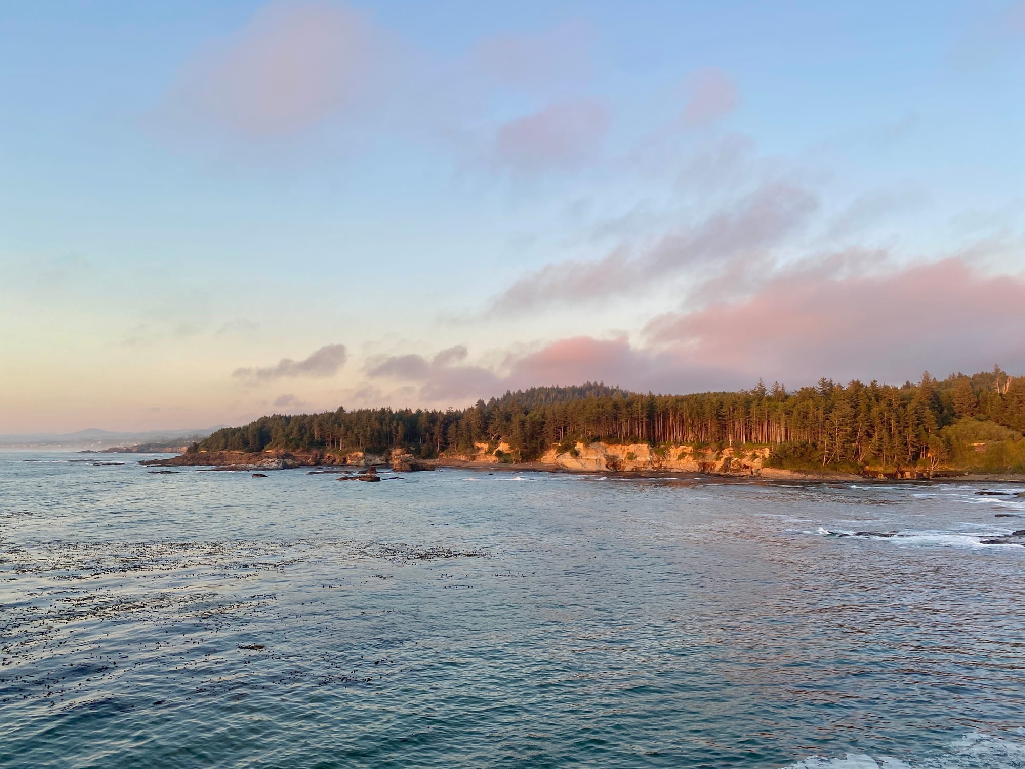 PNW coastline at sunset