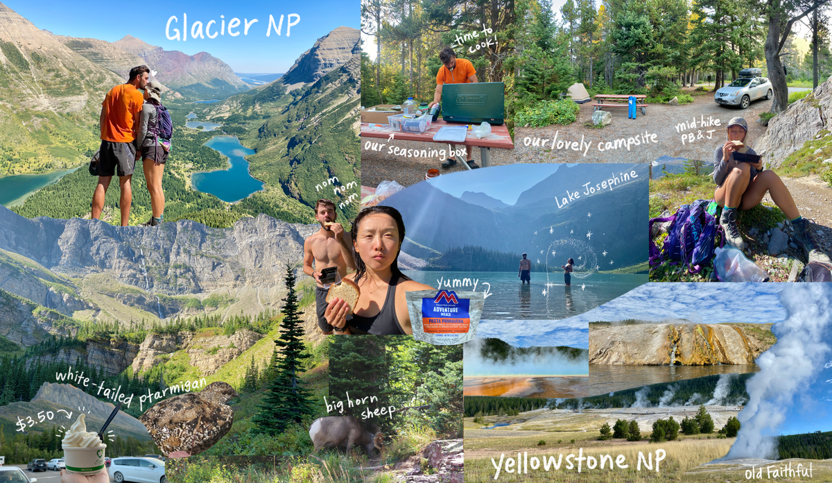 Yellowstone and Glacier National Park