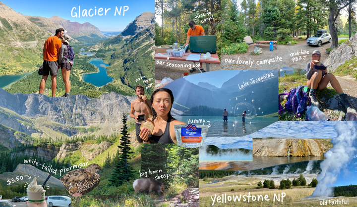 Collage of Glacier National Park and Yellowstone National Park
